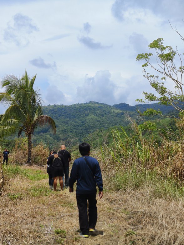 Residential Farm Lot For Sale Anda Bohol [33,373 Properties] (July 2023