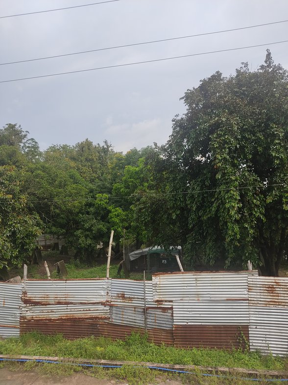 Residential Farm Lot For Sale Orani Bataan 🚜 [14 Properties] (February