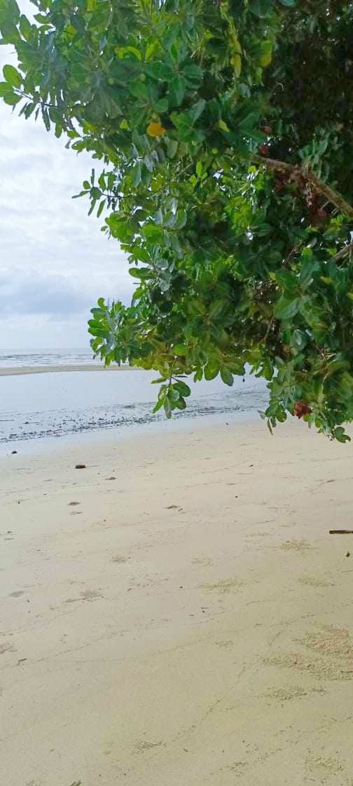 Clean Title Beach Property For Sale Bataraza Palawan [188 Properties