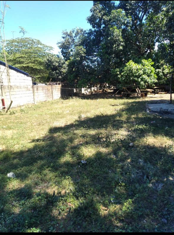 Residential Farm Lot For Sale Pura Tarlac [14 Properties] (September