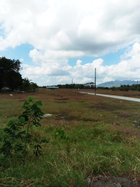 Los Pedritos Rosario La Union [7,432 Properties] (March 2024) on