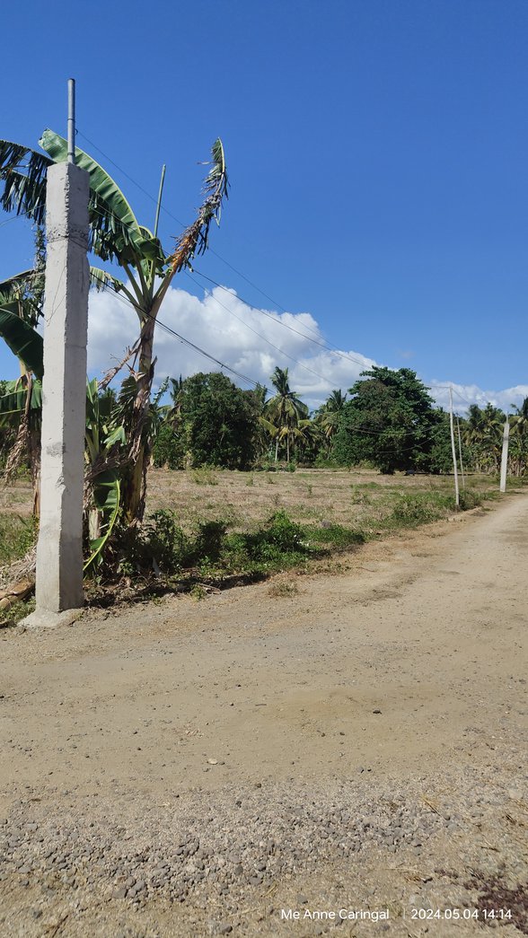 Residential Farm Lot For Sale Candelaria Quezon [58 Properties] (August