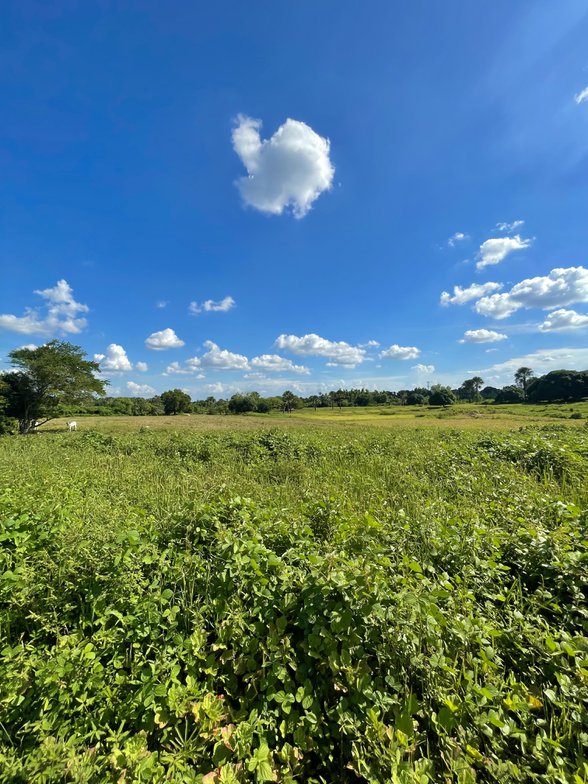 San Jacinto Pangasinan Properties [841 Properties] (August 2024) on