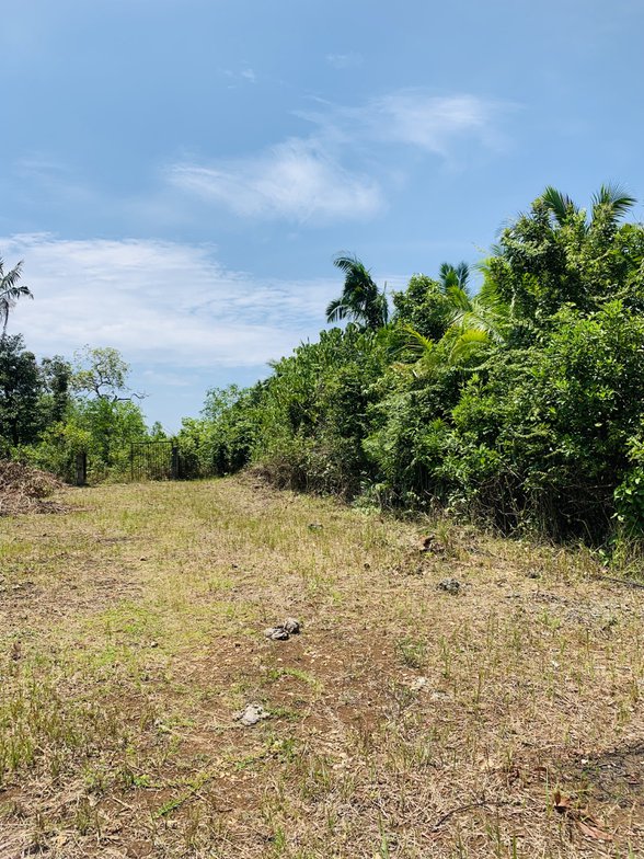 How Big Is 450 Square Meters Land 32 904 Properties December 2023 