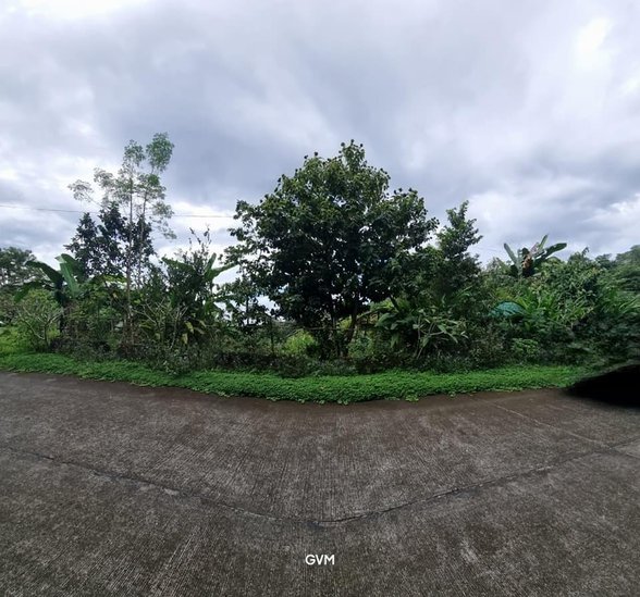Residential Farm Lot For Sale San Mateo Rizal 🚜 [229 Properties] (April