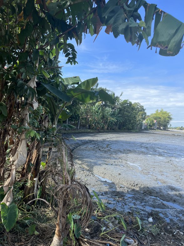 Farm Lot For Sale Bulacan 🚜 [247 Properties] (December 2023) on