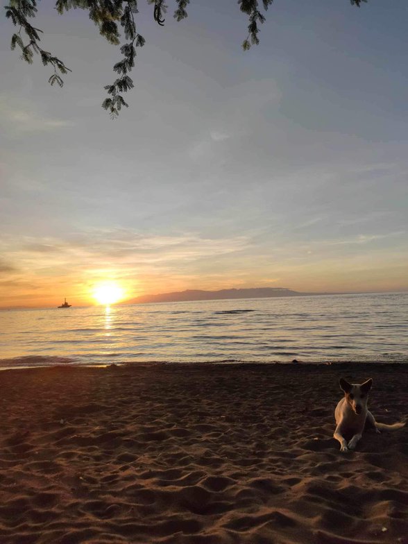 Beach Property For Sale Misamis Oriental [7 Properties] (August 2024