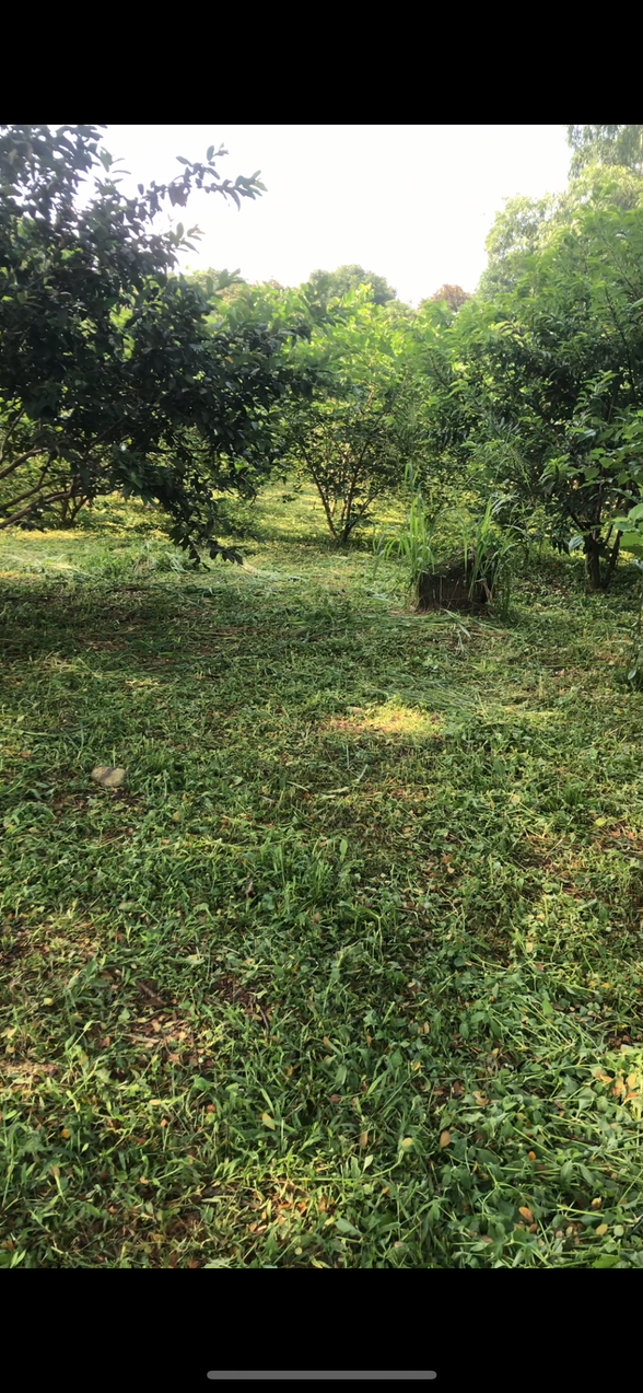 Farm Lot For Sale In Norzagaray Bulacan [327 Properties] (July 2024) on