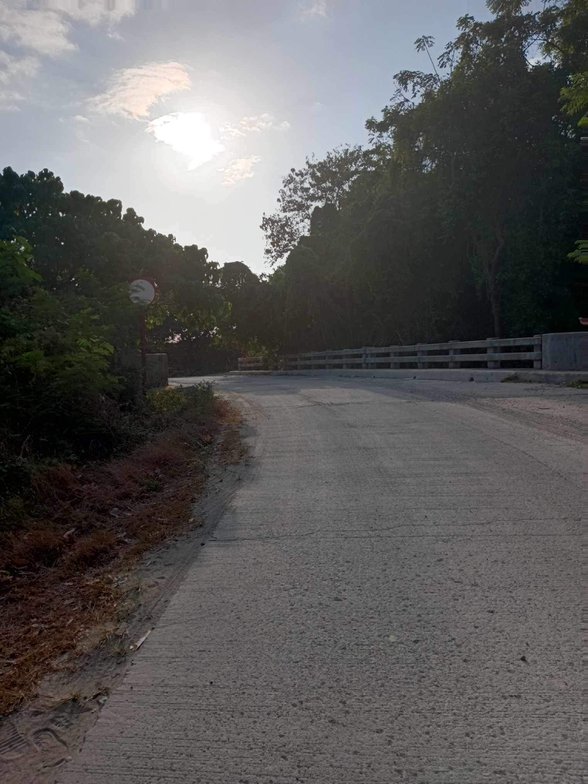 Agricultural Farm Lot For Sale Calatagan Batangas 🚜 [128 Properties