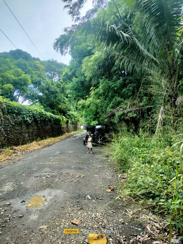 Sunflower Farm Pililla Rizal [4,597 Properties] (August 2022) on