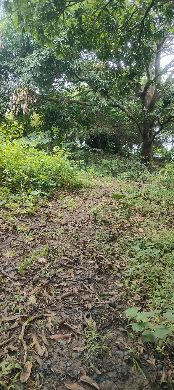 Agricultural Farm Lot For Sale Pandi Bulacan 🚜 [64 Properties