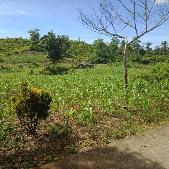 Foreclosed Farm For Sale Philippines 🚜 [9,474 Properties] (December