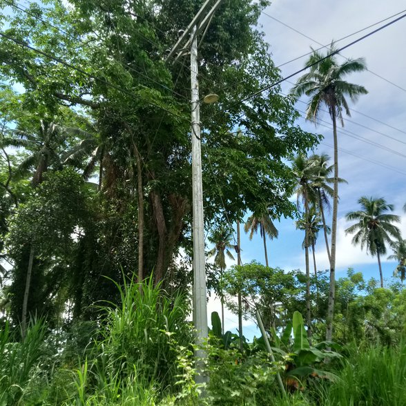 Residential Farm Lot For Sale Tagum Davao Del Norte [6 Properties