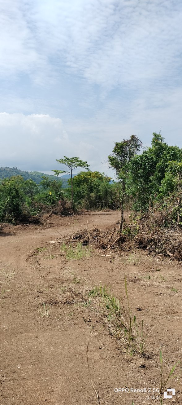 Foreclosed Farm Lot In Tanay Rizal 🚜 [1,516 Properties] (March 2024) on