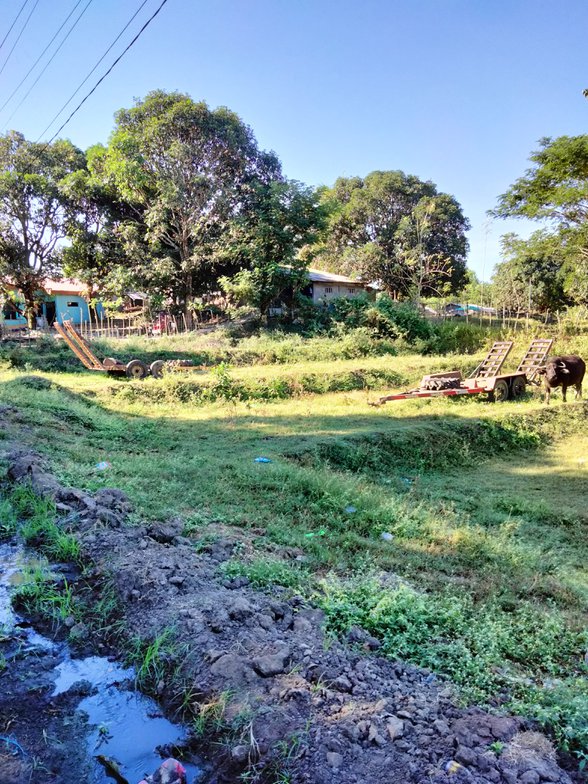 Residential Farm Lot For Sale Balungao Pangasinan 🚜 [30 Properties