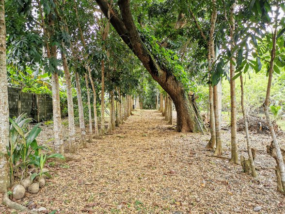 How Much Is 2 Hectares Of Land 24 657 Properties October 2022 On 