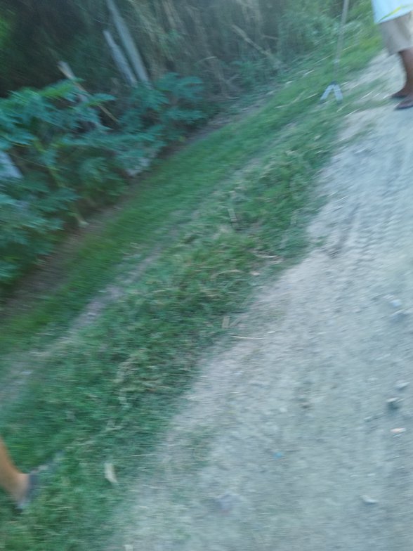 Residential Farm Lot For Sale Zamboanga City Zamboanga Del Sur [2 Properties] (March 2024) on