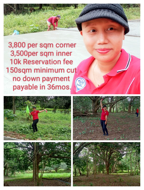 Residential Farm Lot For Sale Tagaytay Cavite 🚜 [347 Properties] (June