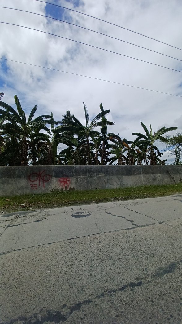 Agricultural Farm Lot For Sale Carmen Davao Del Norte [12 Properties