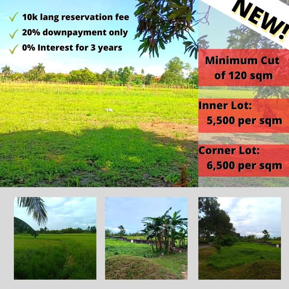 Residential Farm Lot For Sale Dasmarinas Cavite 🚜 [354 Properties