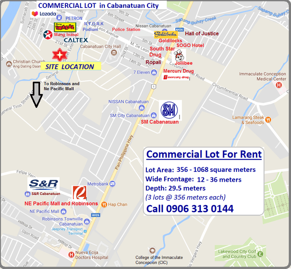 Commercial Lot For Rent Cabanatuan Nueva Ecija 🚜 [1 Property] (January