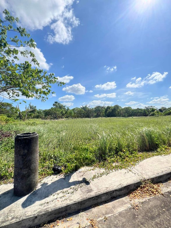 Residential Lot For Sale Sariaya Quezon [49 Properties] (May 2024) on