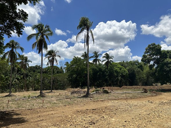 How Big Is 250 Hectares 5 854 Properties January 2025 On How Big Is 250 Hectares 5 854 Properties January 2025 On