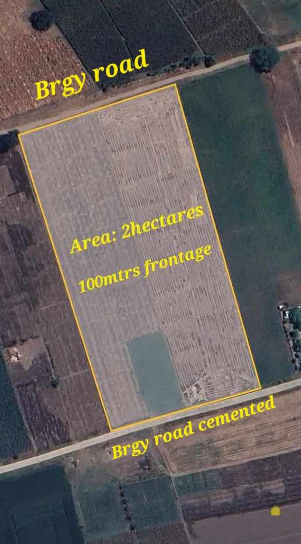 Clean Title House And Lot For Sale Bongabon Nueva Ecija 🏘️ [200