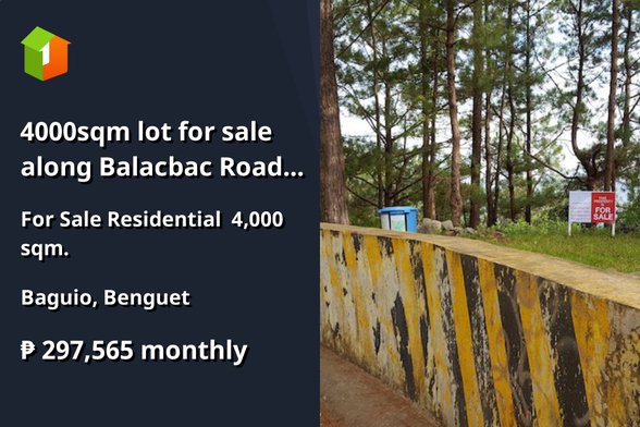 For Sale: 4000sqm Lot along Balacbac Road Sto.Tomas Proper Baguio City ...