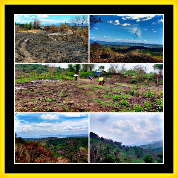 Residential Lot For Sale Tanay Rizal [66 Properties] (August 2024) on ...