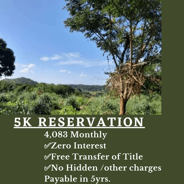 Foreclosed Farm Lot In Tanay Rizal 🚜 [1,034 Properties] (October 2022