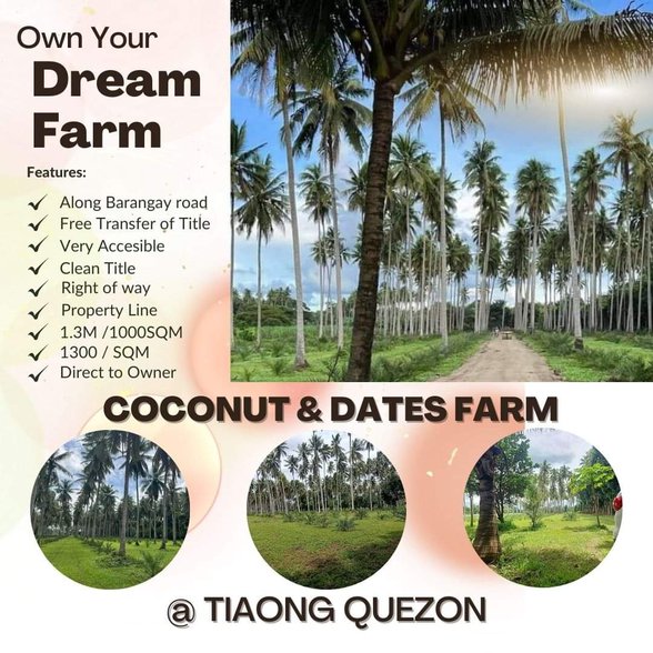 Agricultural Farm Lot For Sale Sariaya Quezon 🚜 [142 Properties] (June