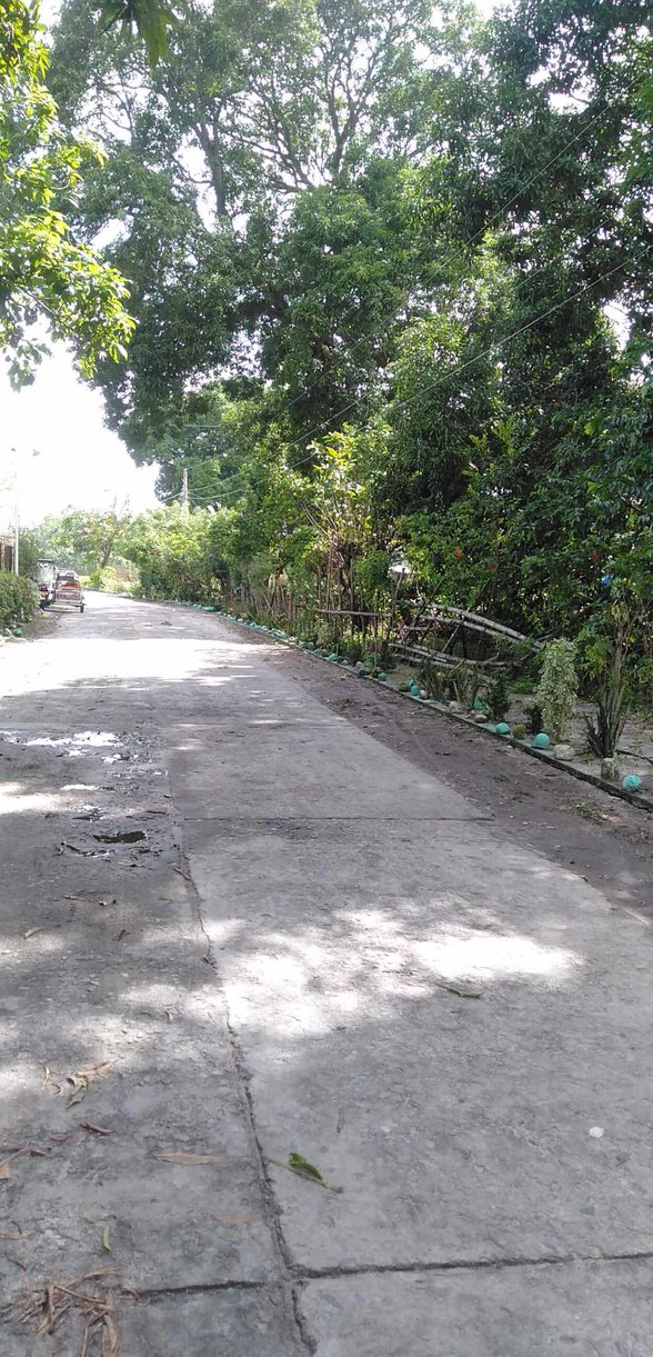 Residential Lot For Sale San Narciso Zambales [37 Properties