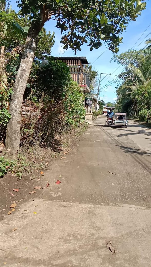 Agricultural Farm Lot For Sale Rosario Batangas 🚜 [101 Properties