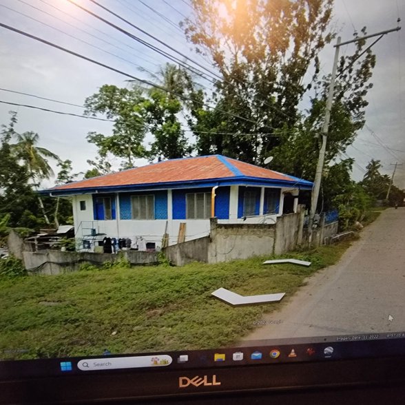 8 Bedroom House And Lot For Sale Tubigon Bohol [1 Property] (April 2023