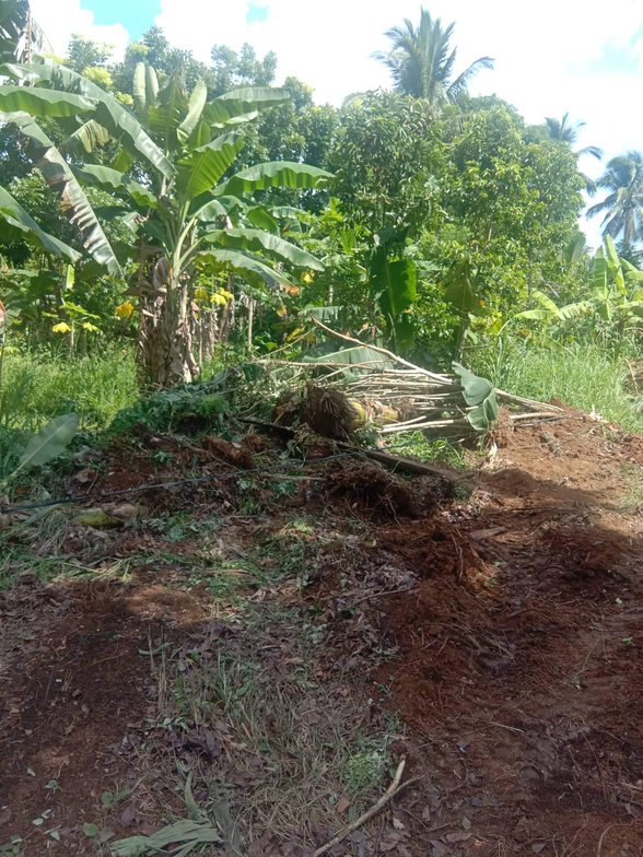 Costa Verde Rosario Cavite [1,395 Properties] (December 2022) on