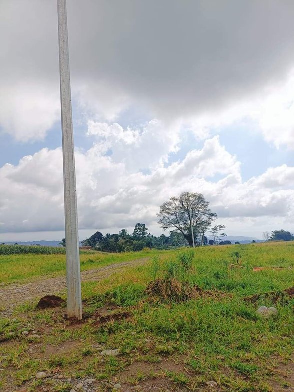 Residential Farm Lot For Sale Claveria Misamis Oriental 🚜 [12