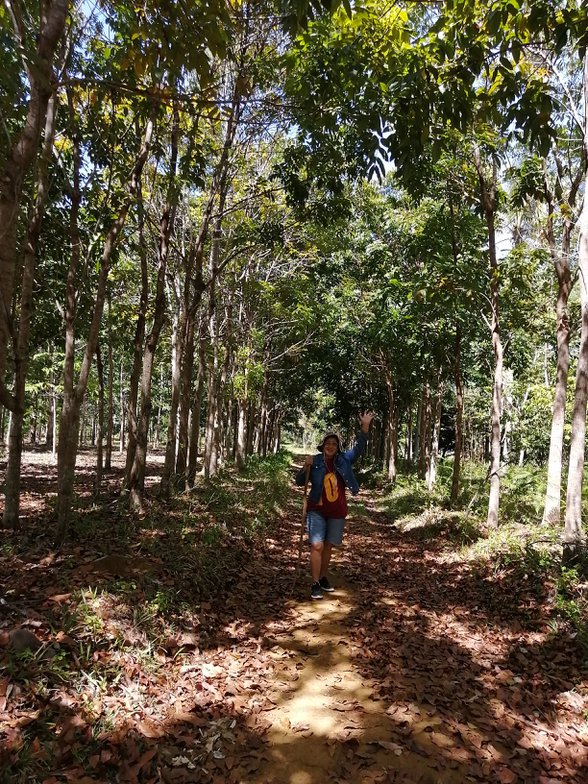 Residential Farm Lot For Sale Gingoog Misamis Oriental 🚜 [17 Properties