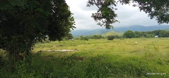 Farm Lot For Sale Munoz Nueva Ecija [63 Properties] (May 2023) on ...