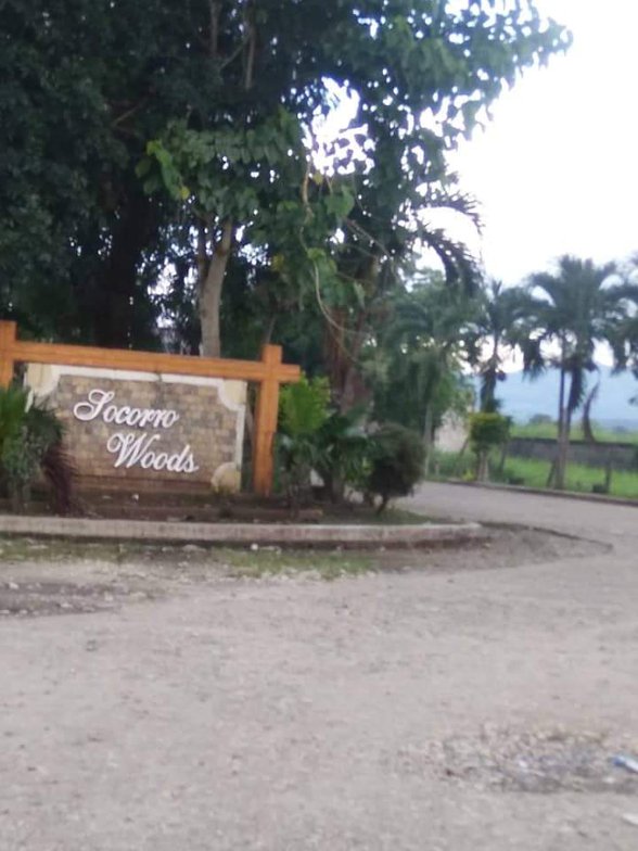 Great Woods Subdivision Molino Bacoor 12819 Properties September