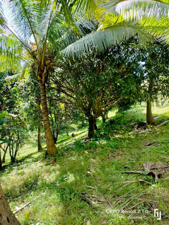 Farm Lot For Sale Rizal 🚜 [401 Properties] (May 2023) on