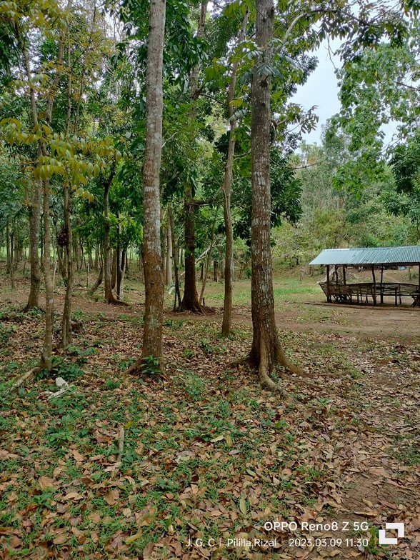 Verterra Highlands Tanay Rizal 🚜 [2,258 Properties] (April 2023) on ...