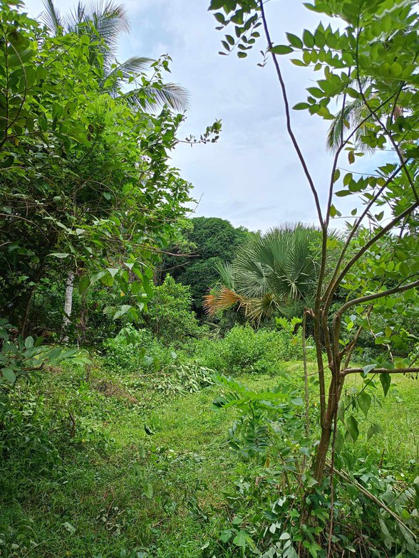 Raw Land For Sale Plaridel Bulacan 🚜 [11 Properties] (July 2023) on