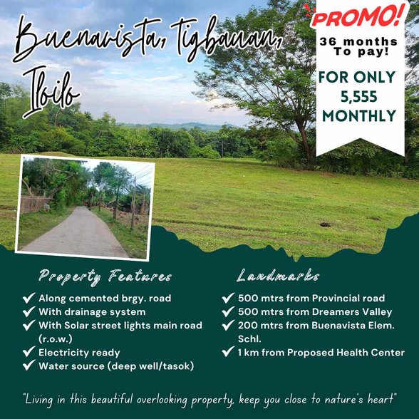 Residential Farm Lot For Sale Concepcion Iloilo 🚜 [9 Properties