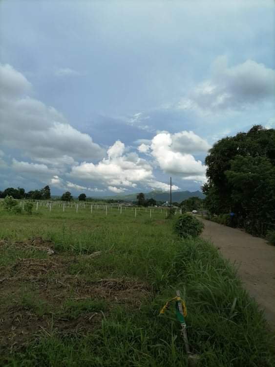 Minimum Wage Of Batangas [5,217 Properties] (July 2023) on