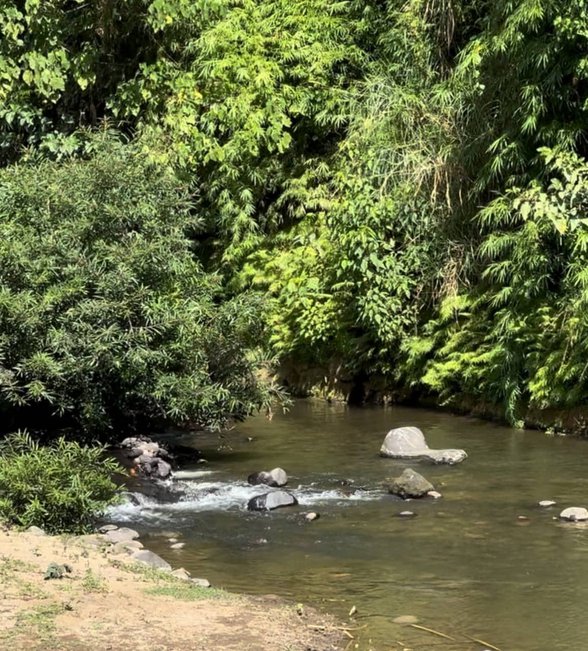 Farm Lot For Sale In Bicol [42 Properties] (June 2024) on