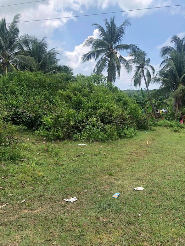 Residential Farm Lot For Sale Catmon Cebu 🚜 [74 Properties] (August