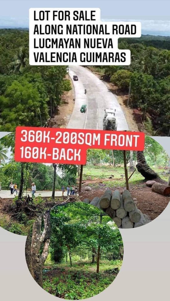 Lot For Sale Nueva Valencia Guimaras 🚜 [6 Properties] (October 2023) on