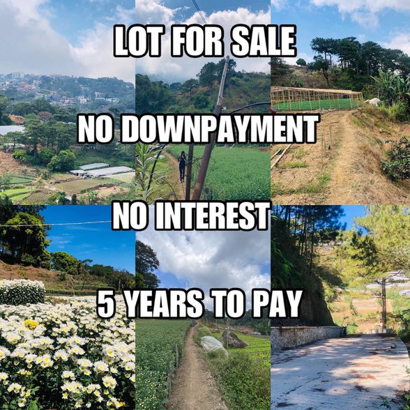 Lot For Sale La Trinidad Benguet 🚜 [162 Properties] (June 2024) on