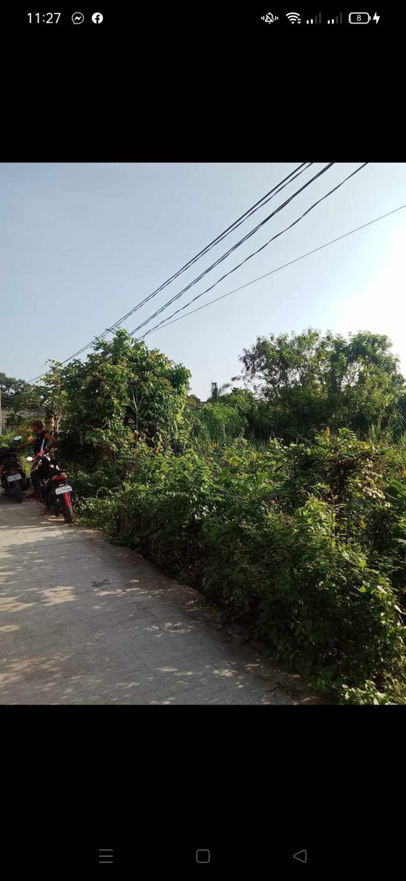 Lot For Sale Lingayen Pangasinan 🚜 [261 Properties] (February 2024) on